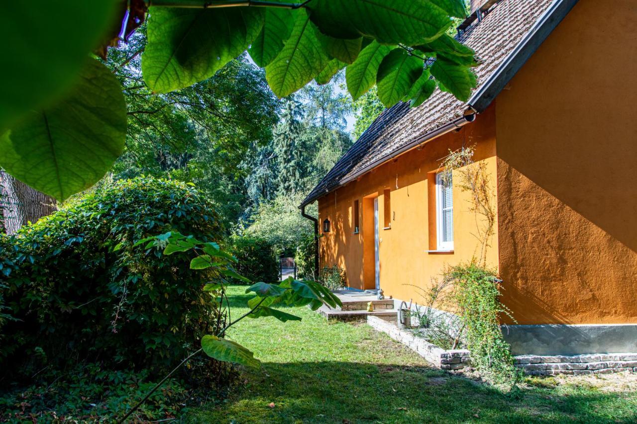 Ferienhaus Mittelmuhle Apartment ทอยพิทซ์ ภายนอก รูปภาพ
