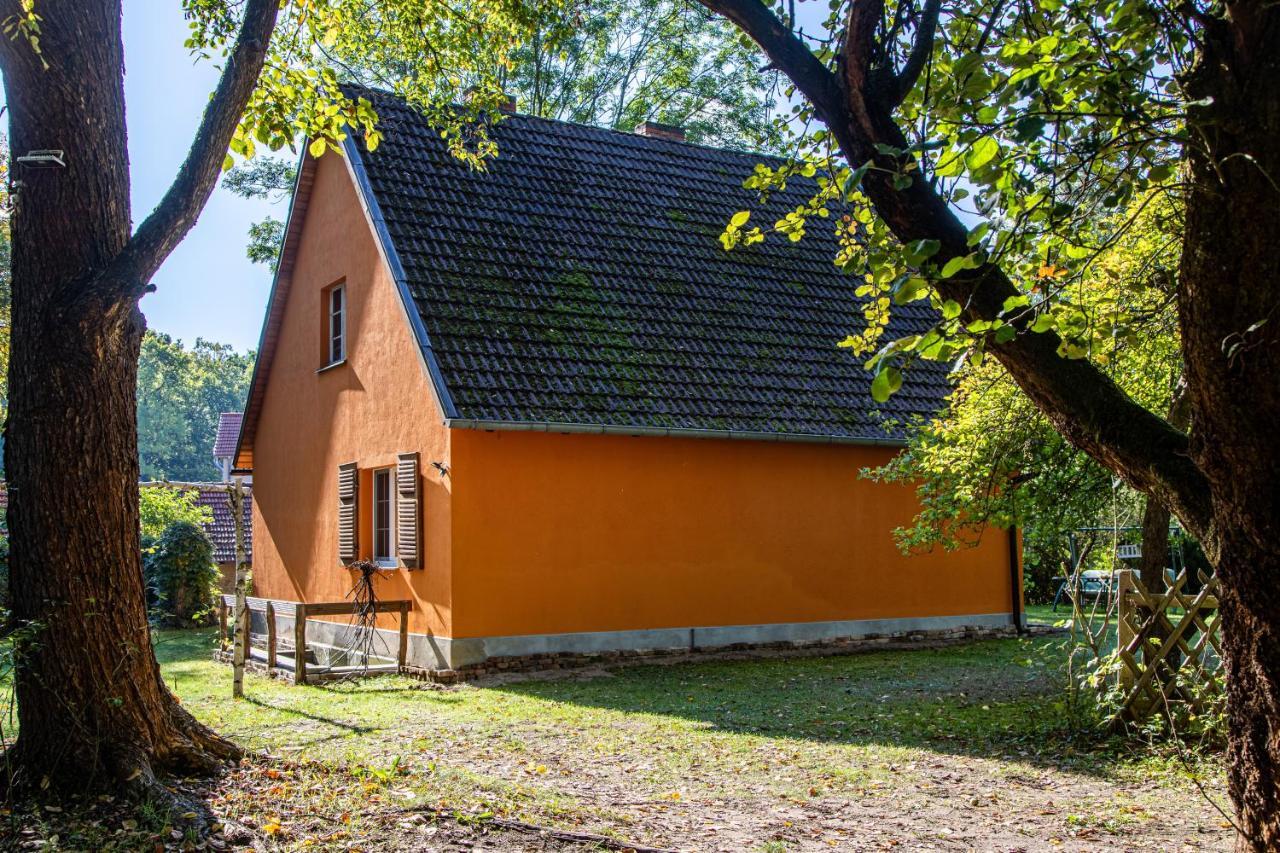 Ferienhaus Mittelmuhle Apartment ทอยพิทซ์ ภายนอก รูปภาพ